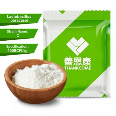 Lactobacillus paracasei probiotic food grade probiotics powder foods probiotics bulk